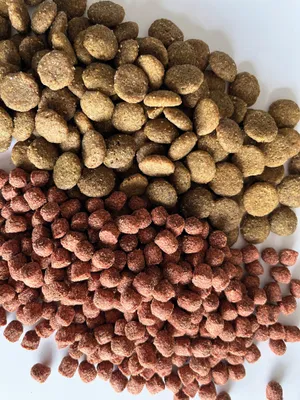 Nourriture pour chien