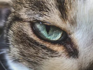 francesco-ungaro-Ihns8pZb7FQ-unsplash